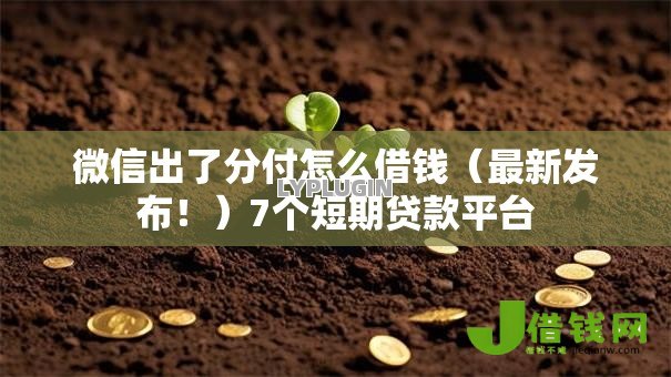 微信出了分付怎么借钱(最新发布!)7个短期贷款平台 微信出了分付怎么借钱(最新发布!)7个短期贷款平台