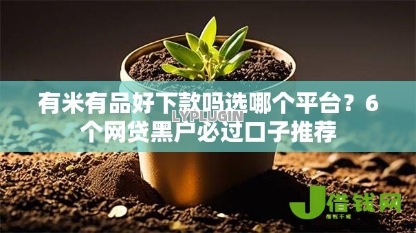 有米有品好下款吗选哪个平台？6个网贷黑户必过口子推荐