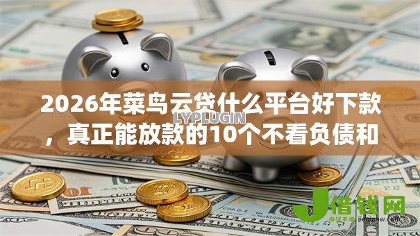 2026年菜鸟云贷什么平台好下款，真正能放款的10个不看负债和征信的app推荐