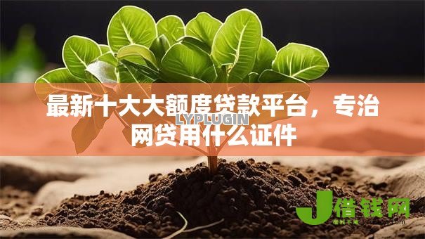 最新十大大额度贷款平台，专治网贷用什么证件