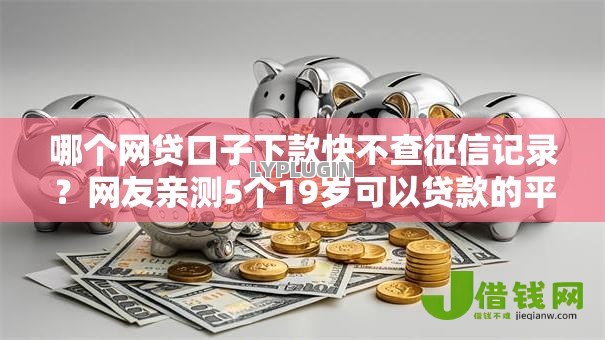 哪个网贷口子下款快不查征信记录？网友亲测5个19岁可以贷款的平台盘点