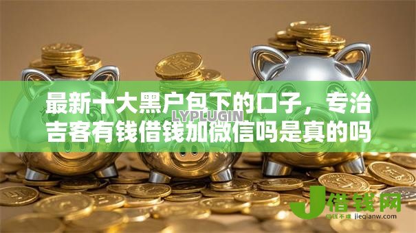 最新十大黑户包下的口子，专治吉客有钱借钱加微信吗是真的吗
