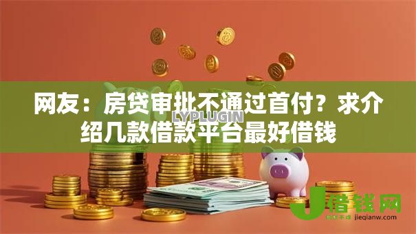 网友：房贷审批不通过首付？求介绍几款借款平台最好借钱