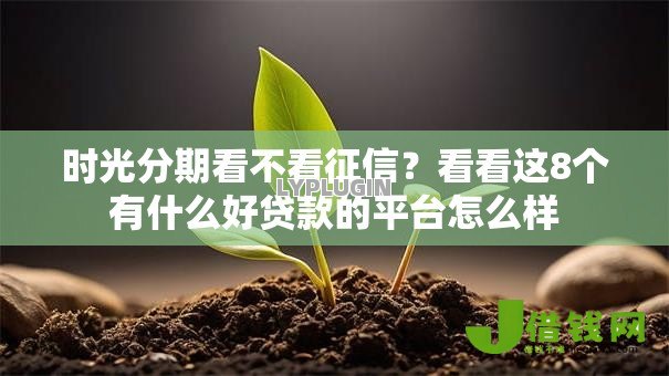 时光分期看不看征信？看看这8个有什么好贷款的平台怎么样