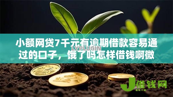 小额网贷7千元有逾期借款容易通过的口子，饿了吗怎样借钱啊微信的5个平台介绍