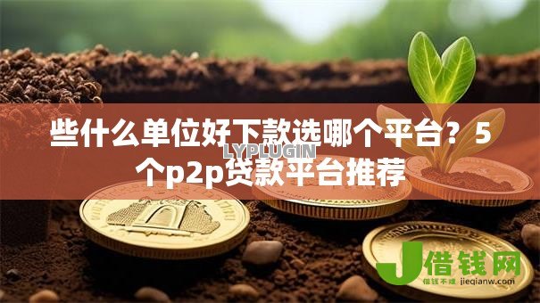 些什么单位好下款选哪个平台？5个p2p贷款平台推荐