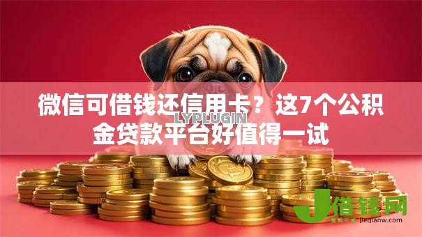 微信可借钱还信用卡？这7个公积金贷款平台好值得一试
