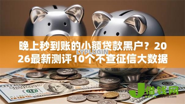 晚上秒到账的小额贷款黑户?2026最新测评10个不查征信大数据的秒下款平台 晚上秒到账的小额贷款黑户?2026最新测评10个不查征信大数据的秒下款平台