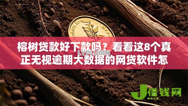 榕树贷款好下款吗？看看这8个真正无视逾期大数据的网贷软件怎么样