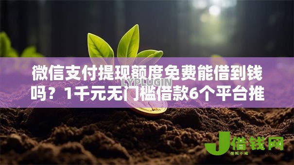 微信支付提现额度免费能借到钱吗？1千元无门槛借款6个平台推荐