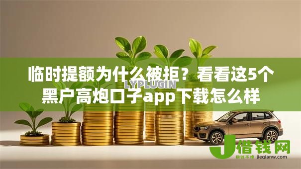 临时提额为什么被拒？看看这5个黑户高炮口子app下载怎么样