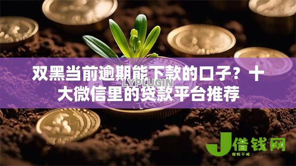 双黑当前逾期能下款的口子?十大微信里的贷款平台推荐 双黑当前逾期能下款的口子?十大微信里的贷款平台推荐