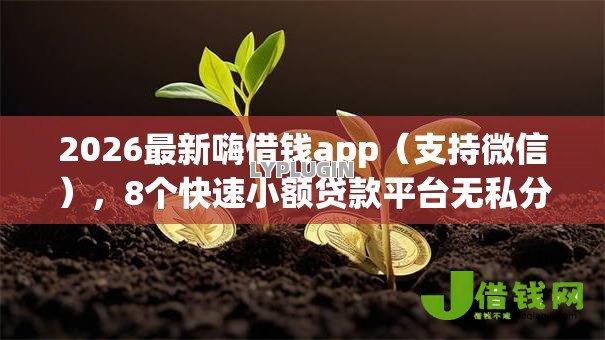 2026最新嗨借钱app（支持微信），8个快速小额贷款平台无私分享