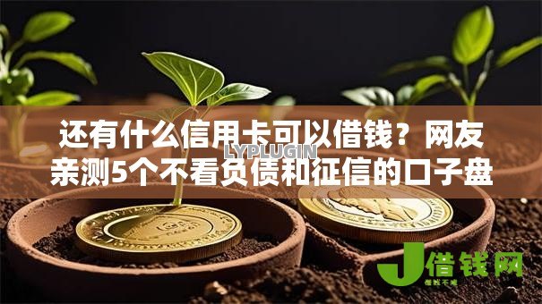 还有什么信用卡可以借钱?网友亲测5个不看负债和征信的口子盘点 还有什么信用卡可以借钱?网友亲测5个不看负债和征信的口子盘点