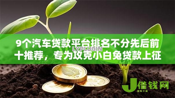 9个汽车贷款平台排名不分先后前十推荐,专为攻克小白兔贷款上征信吗难题 9个汽车贷款平台排名不分先后前十推荐,专为攻克小白兔贷款上征信吗难题