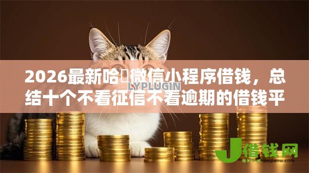 2026最新哈啰微信小程序借钱，总结十个不看征信不看逾期的借钱平台！