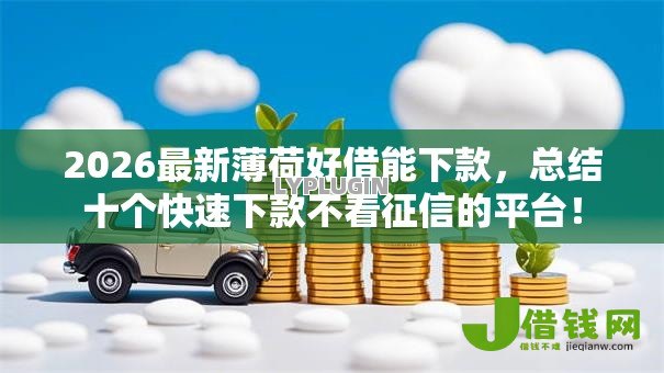 2026最新薄荷好借能下款，总结十个快速下款不看征信的平台！