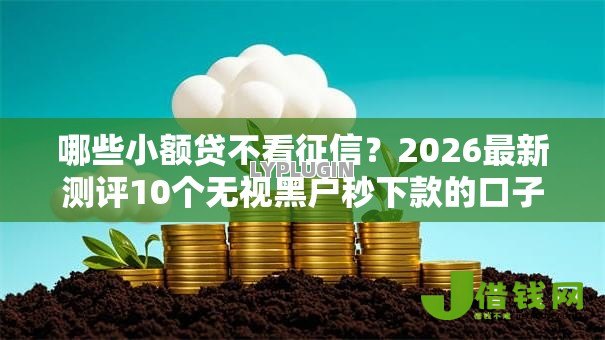 哪些小额贷不看征信？2026最新测评10个无视黑户秒下款的口子