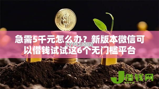 急需5千元怎么办？新版本微信可以借钱试试这6个无门槛平台
