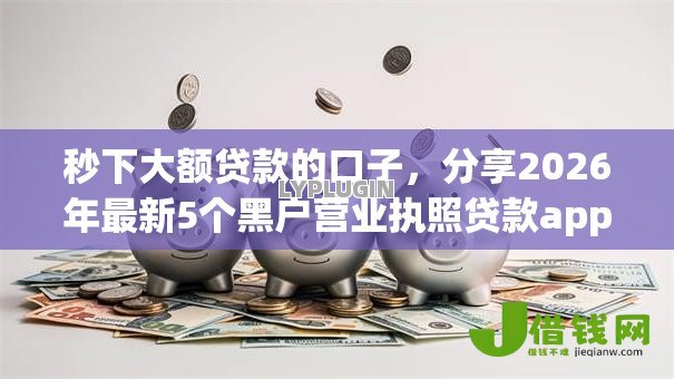 秒下大额贷款的口子，分享2026年最新5个黑户营业执照贷款app口子