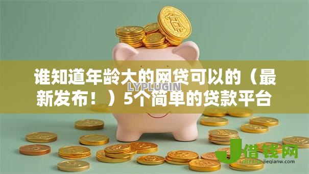 谁知道年龄大的网贷可以的（最新发布！）5个简单的贷款平台