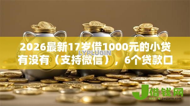 2026最新17岁借1000元的小贷有没有（支持微信），6个贷款口子平台无私分享