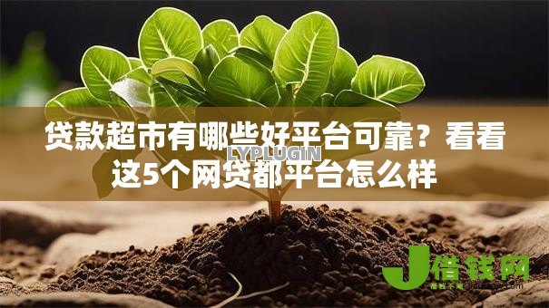 贷款超市有哪些好平台可靠？看看这5个网贷都平台怎么样