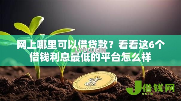 网上哪里可以借贷款？看看这6个借钱利息最低的平台怎么样