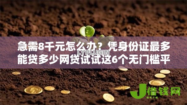 急需8千元怎么办？凭身份证最多能贷多少网贷试试这6个无门槛平台