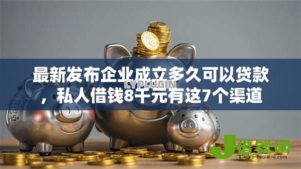 最新发布企业成立多久可以贷款，私人借钱8千元有这7个渠道