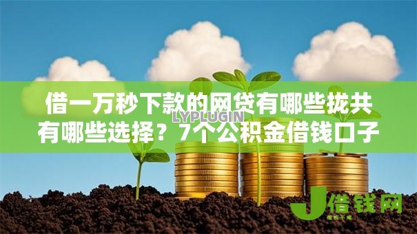 借一万秒下款的网贷有哪些拢共有哪些选择？7个公积金借钱口子详解