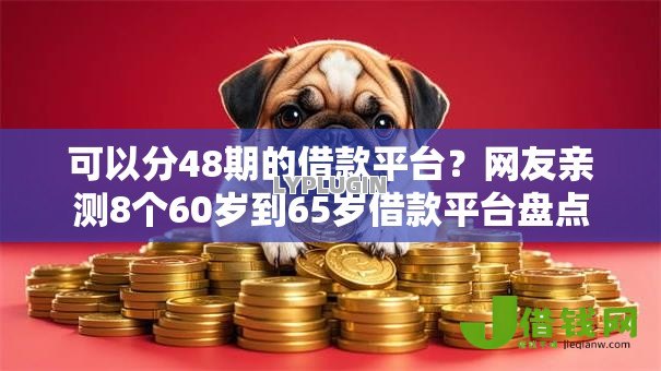 可以分48期的借款平台？网友亲测8个60岁到65岁借款平台盘点