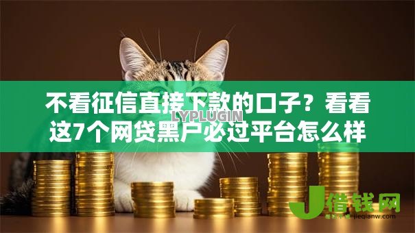 不看征信直接下款的口子？看看这7个网贷黑户必过平台怎么样