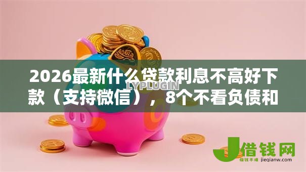 2026最新什么贷款利息不高好下款（支持微信），8个不看负债和征信的平台无私分享