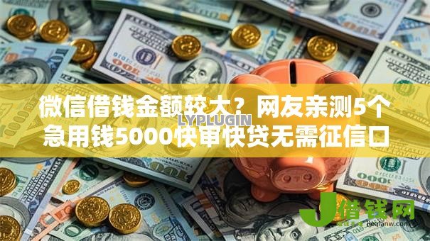 微信借钱金额较大?网友亲测5个急用钱5000快审快贷无需征信口子盘点 微信借钱金额较大?网友亲测5个急用钱5000快审快贷无需征信口子盘点