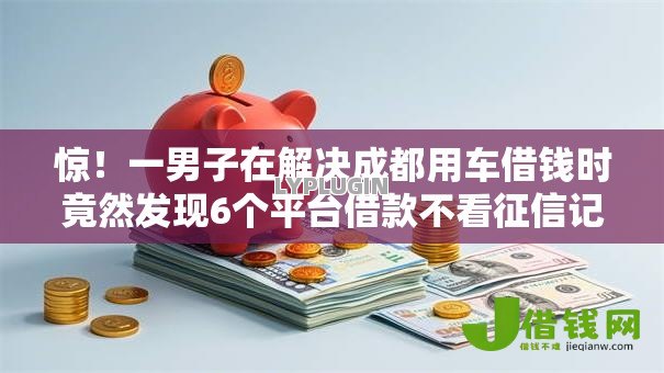 惊！一男子在解决成都用车借钱时竟然发现6个平台借款不看征信记录，事后分享了出来
