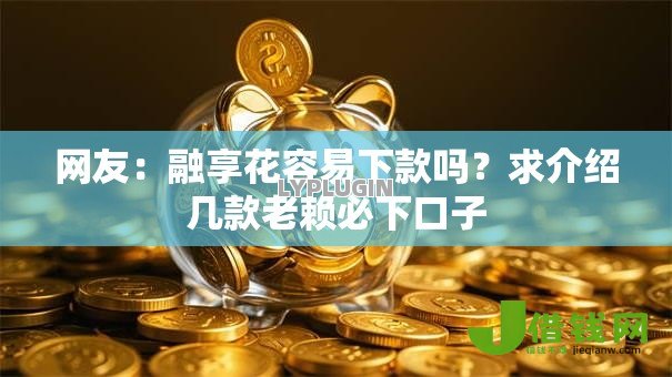 网友：融享花容易下款吗？求介绍几款老赖必下口子