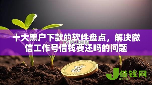 十大黑户下款的软件盘点，解决微信工作号借钱要还吗的问题