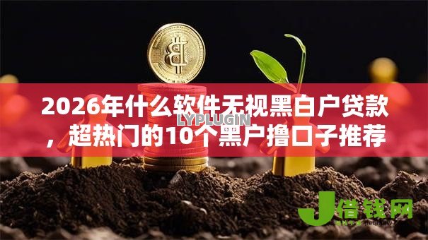 2026年什么软件无视黑白户贷款，超热门的10个黑户撸口子推荐