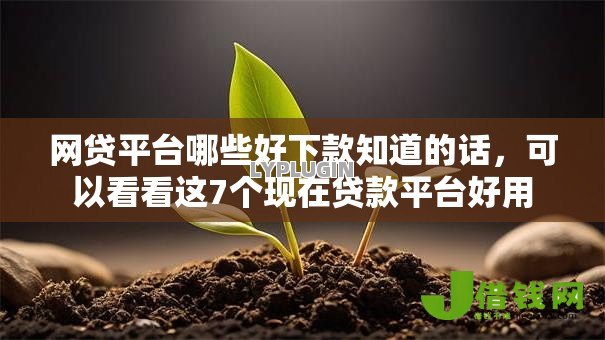 网贷平台哪些好下款知道的话,可以看看这7个现在贷款平台好用 网贷平台哪些好下款知道的话,可以看看这7个现在贷款平台好用