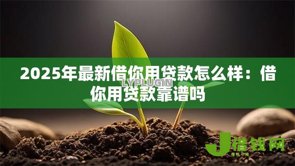 2025年最新借你用贷款怎么样：借你用贷款靠谱吗