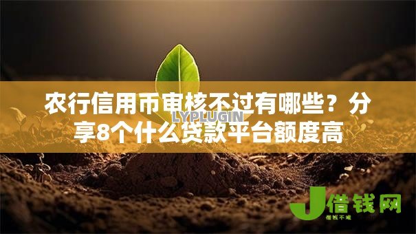 农行信用币审核不过有哪些?分享8个什么贷款平台额度高 农行信用币审核不过有哪些?分享8个什么贷款平台额度高