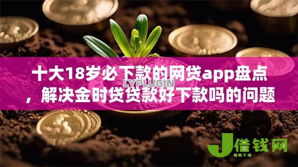 十大18岁必下款的网贷app盘点，解决金时贷贷款好下款吗的问题