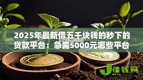 2025年最新借五千块钱的秒下的贷款平台：急需5000元哪些平台能秒下款