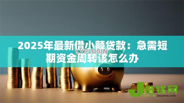 2025年最新借小额贷款：急需短期资金周转该怎么办