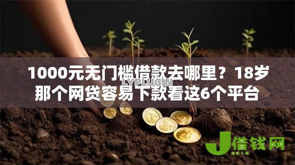1000元无门槛借款去哪里？18岁那个网贷容易下款看这6个平台