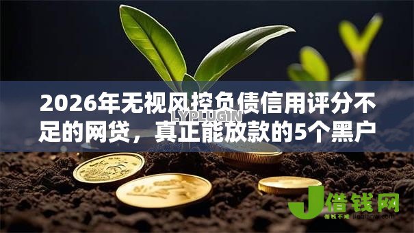 2026年无视风控负债信用评分不足的网贷，真正能放款的5个黑户平台能借到钱啊急用推荐