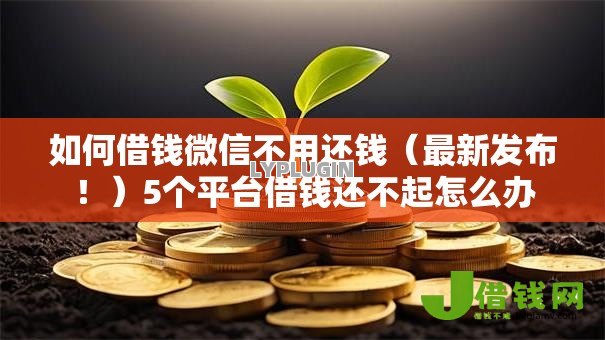 如何借钱微信不用还钱（最新发布！）5个平台借钱还不起怎么办