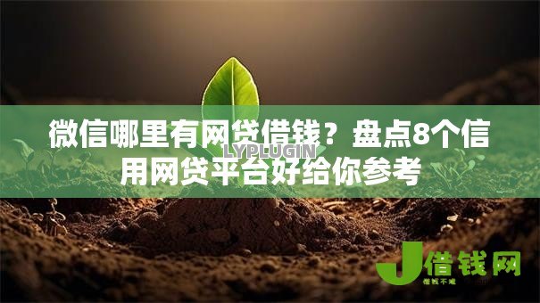 微信哪里有网贷借钱?盘点8个信用网贷平台好给你参考 微信哪里有网贷借钱?盘点8个信用网贷平台好给你参考