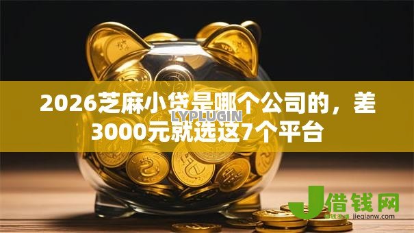 2026芝麻小贷是哪个公司的，差3000元就选这7个平台